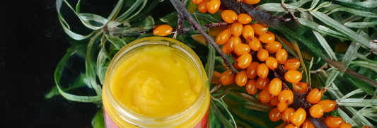 Buckderma: A Botanical Balm Crafted for Winter Comfort