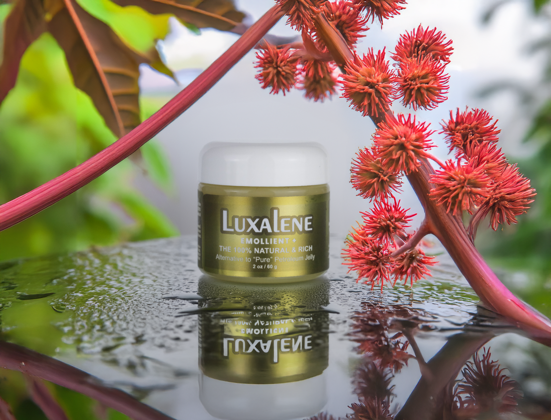 Jar of Luxalene balm with castor oil, placed on a soft neutral background, highlighting its smooth texture and natural ingredients, ideal for hydration, lip care, and slugging.