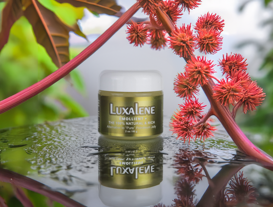 Jar of Luxalene balm with castor oil, placed on a soft neutral background, highlighting its smooth texture and natural ingredients, ideal for hydration, lip care, and slugging.