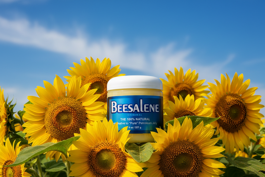 Best Plant-Based Alternatives to Petroleum Jelly (Complete Guide)