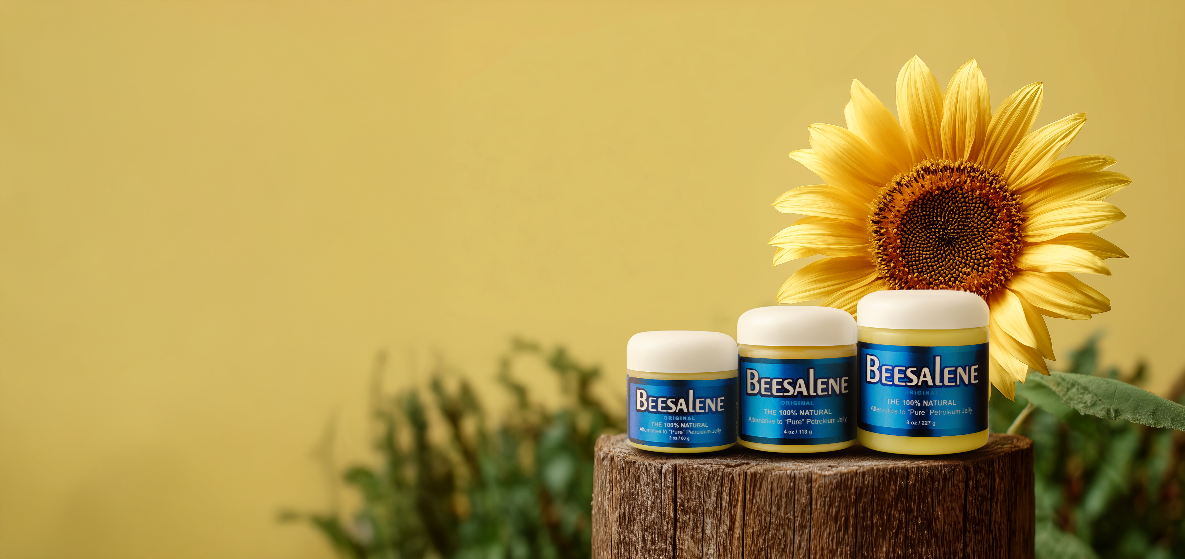 custom-slideshow-image-desktop-block_eVbaB7