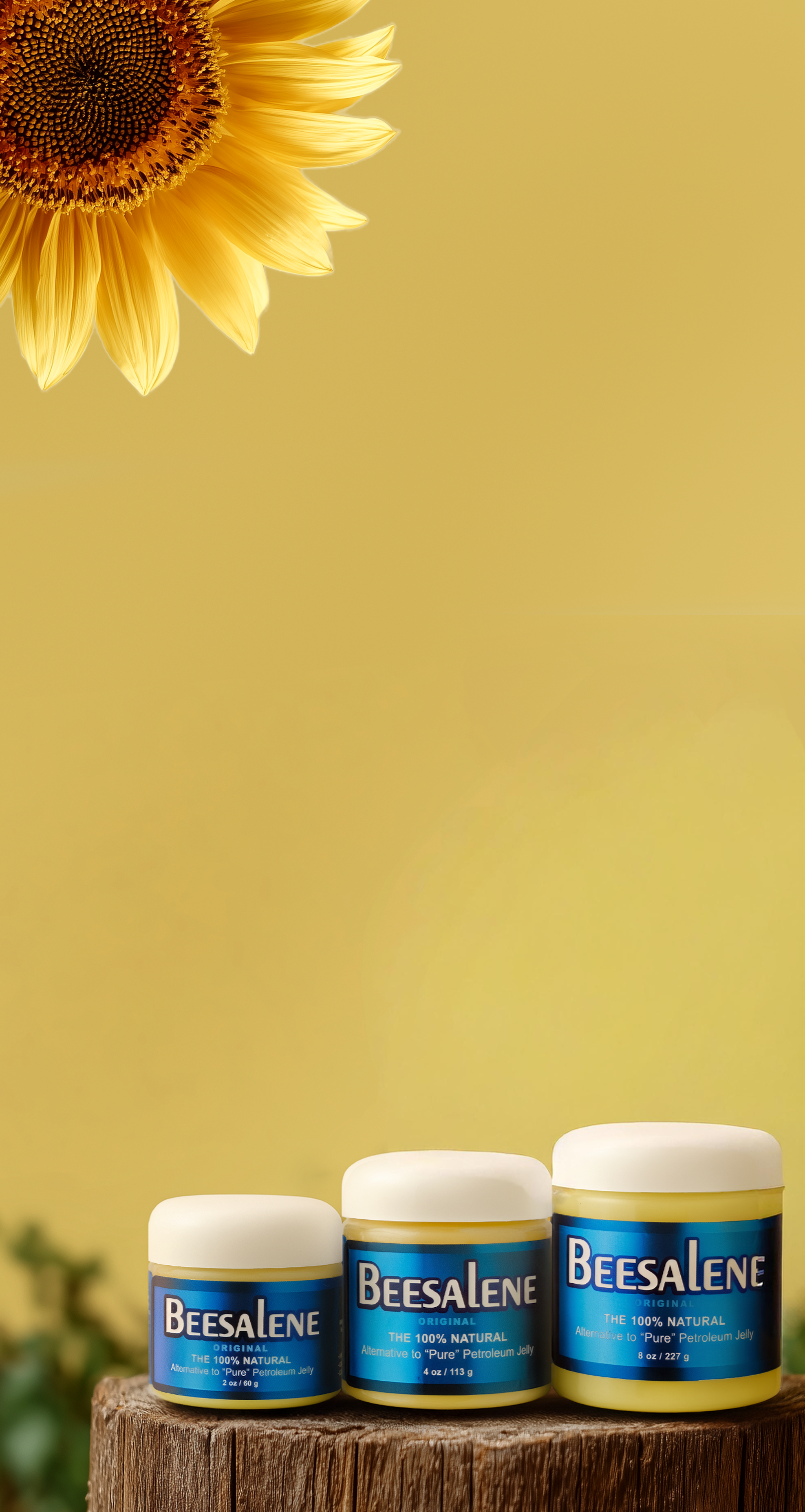 custom-slideshow-image-mobile-block_eVbaB7