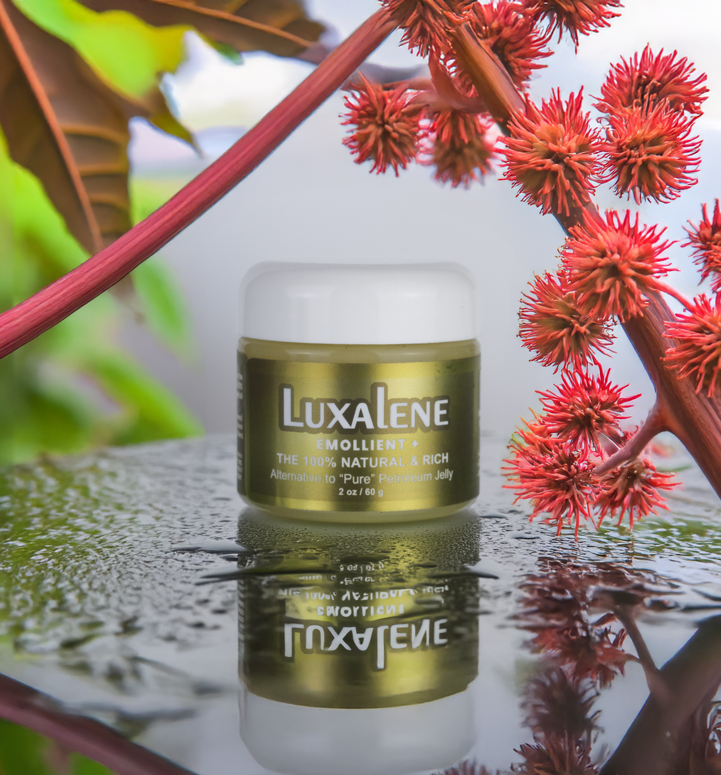 Luxalene Rich Petroleum Jelly Alternative
