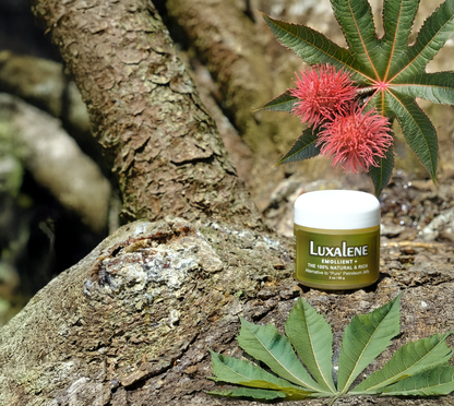 Luxalene Rich Petroleum Jelly Alternative